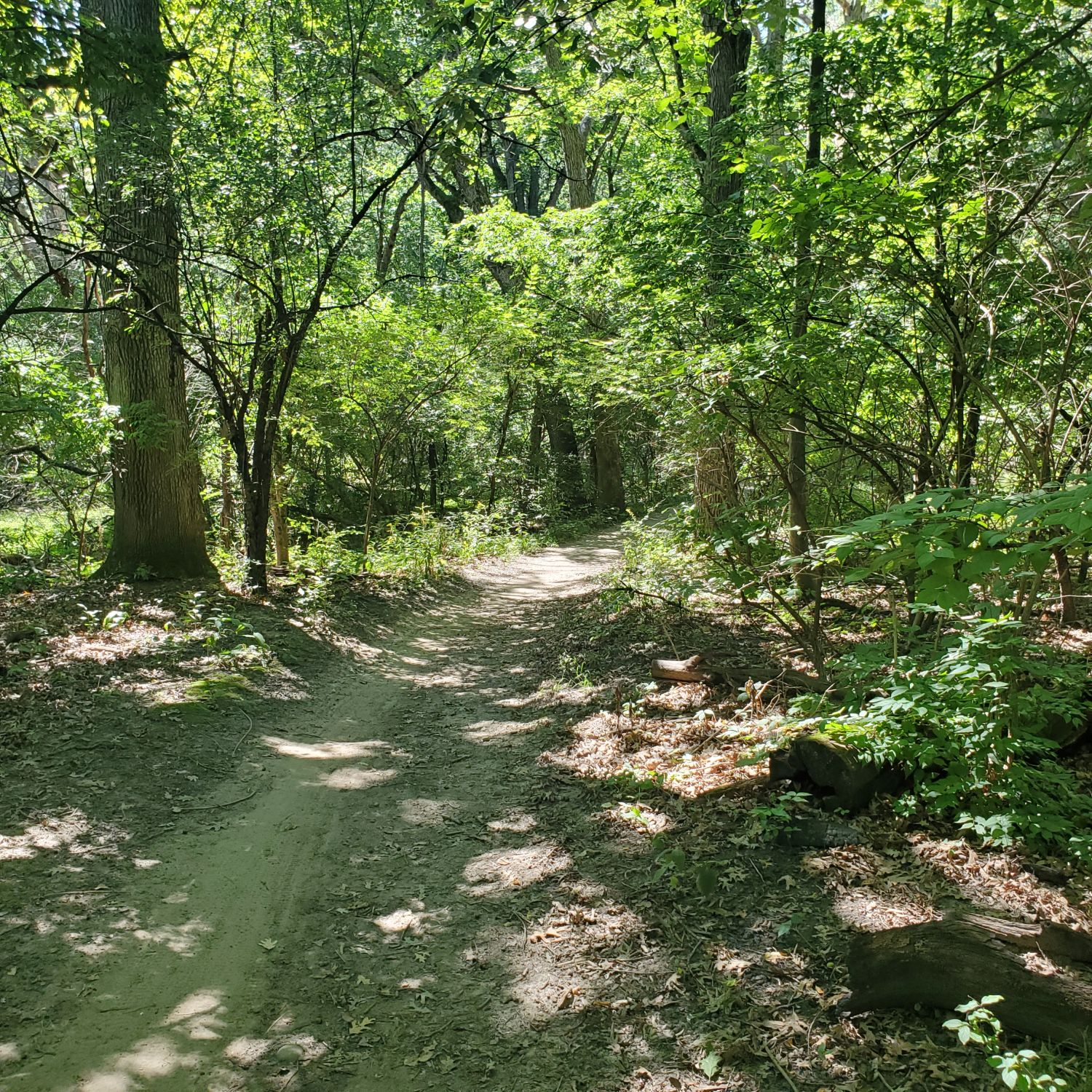 Orange Palos Trail 